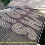 roof shampoo system