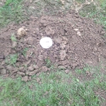 Main Line Cleanout