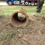 Leach Field Pipe