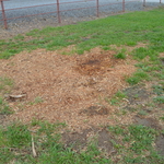 After