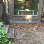 Raccoon Proofing/ Trap