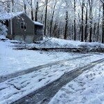Winter clean up
