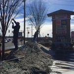 Tree pruning