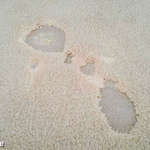 Carpet Repairs: Bleach Damage