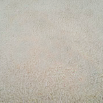 Carpet Repairs: Bleach Damage