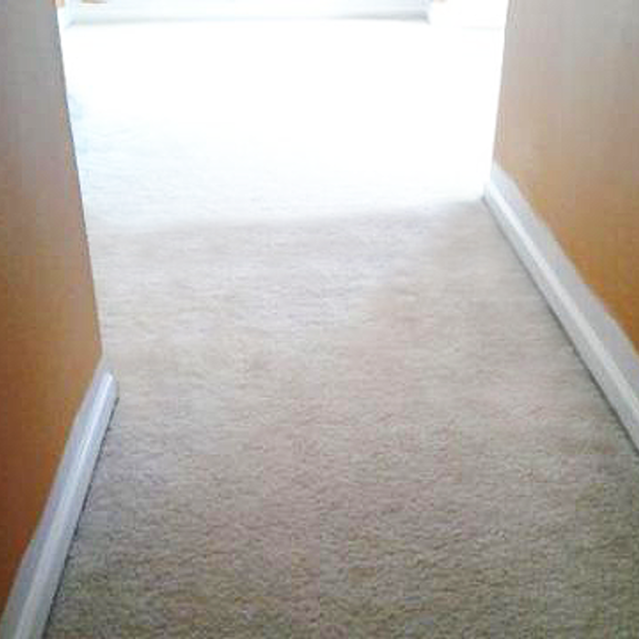 Carpet Stretching & Re-seaming