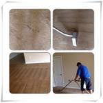 Carpet Cleaning