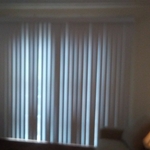 vertical blinds