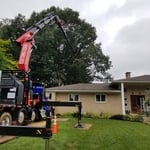 Grapple-saw Crane