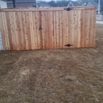 cedar fence