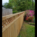 cedar fence
