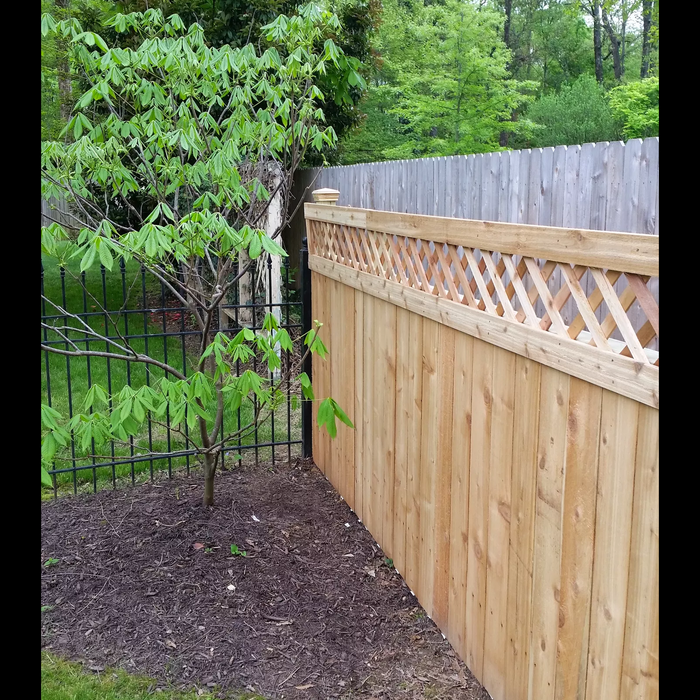 cedar fence