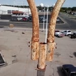 budget car sales