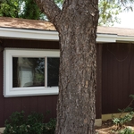 Sliding Windows
