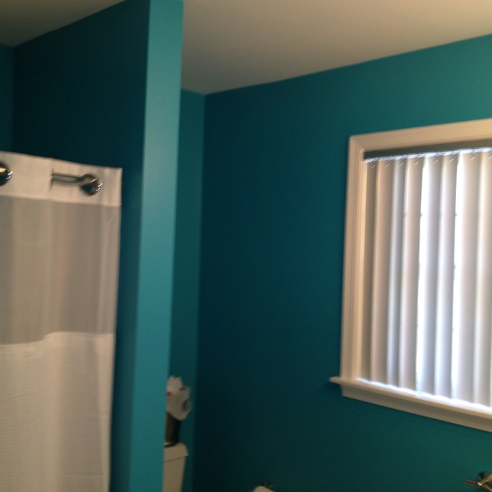 Bath paints