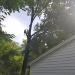 Over house removal