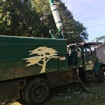 Tree Work by J&J