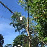 Power Lines!