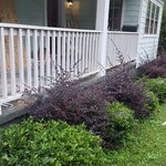 Porch Before(2)