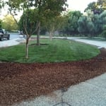 NEW SOD BARK SPRINKLERS