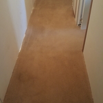 carpet cleaning before and after