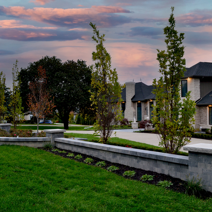 Retaining Wall