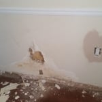 Drywall Repair