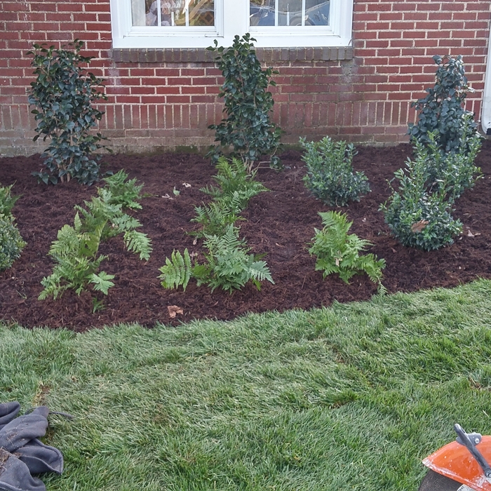 few projects