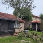 Trimming one tree