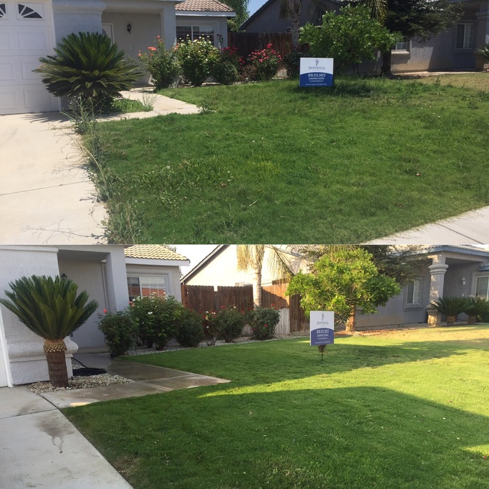 Before and After