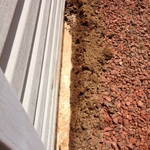Termite Treatment
