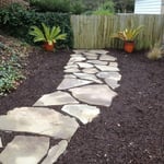 steping stone