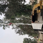 Tree reduction