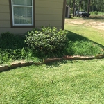 Pic #3