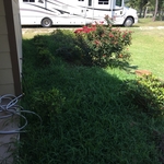 Pic #4