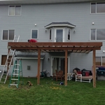 Before Pictures