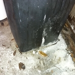 Leaking brine tank