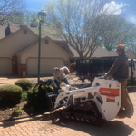 Shrub Removal