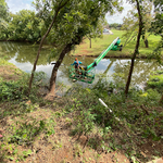 Tree Trim