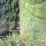 Before we cut grass