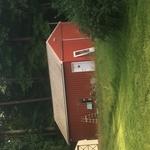 Before we cut grass