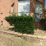 Existing Front Flowerbeds