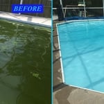 Green Pool Cleanup