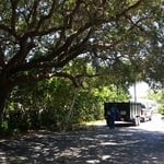 Lifting of Oaks