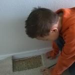 Before Carpet Repair