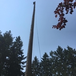 Topped