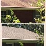 Roof Cleaning