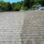 Roof Cleaning