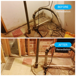 Mold Remediation