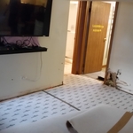 Before Remediation